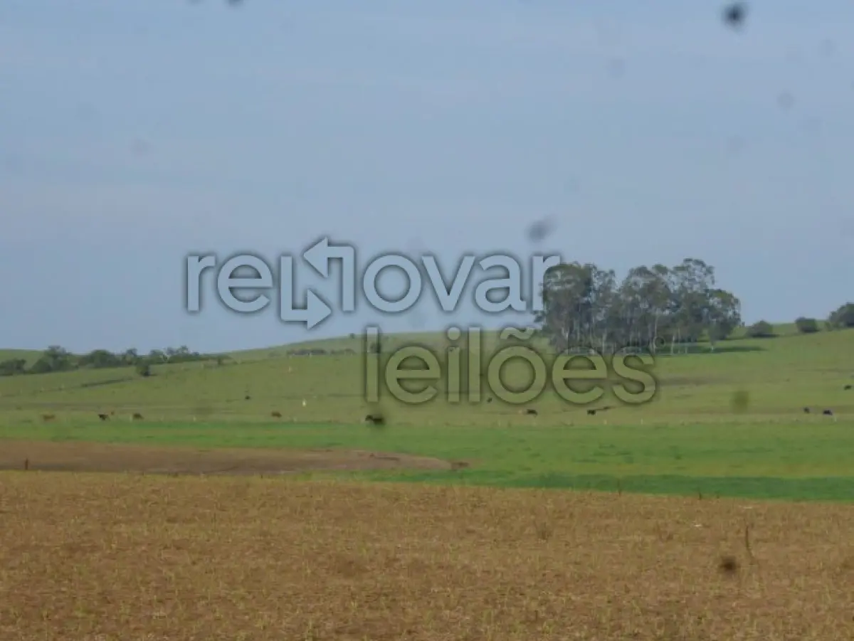 LOTE 001 - ÁREA RURAL C/ 150 HEC - CACHOEIRA DO SUL / RS