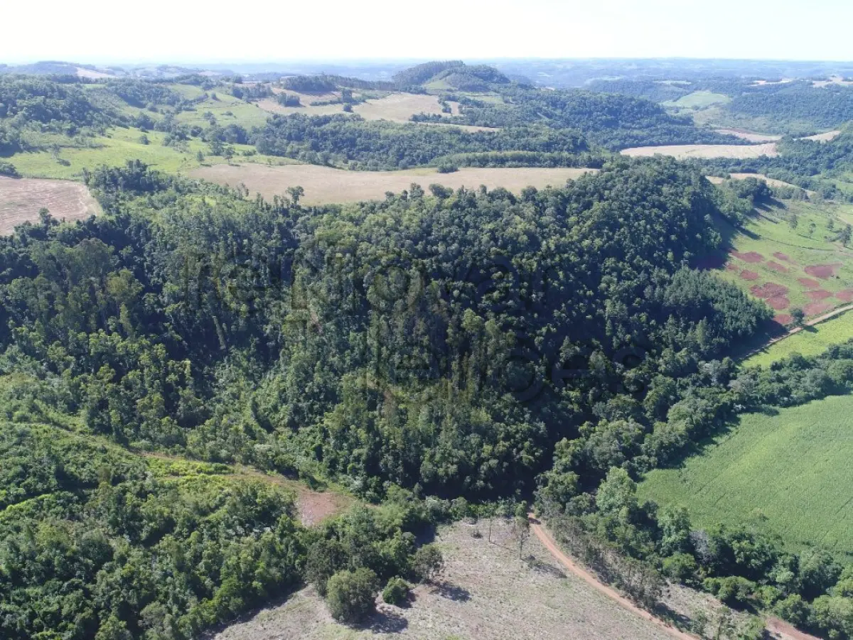 LOTE 002 - ÁREA RURAL C / 6,36 HEC - TRÊS PASSOS / RS