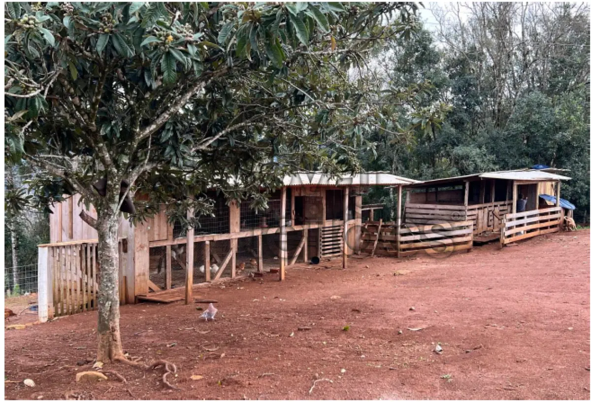 LOTE 009 - ÁREA RURAL C /  8,627 HEC -  IRANI/ SC