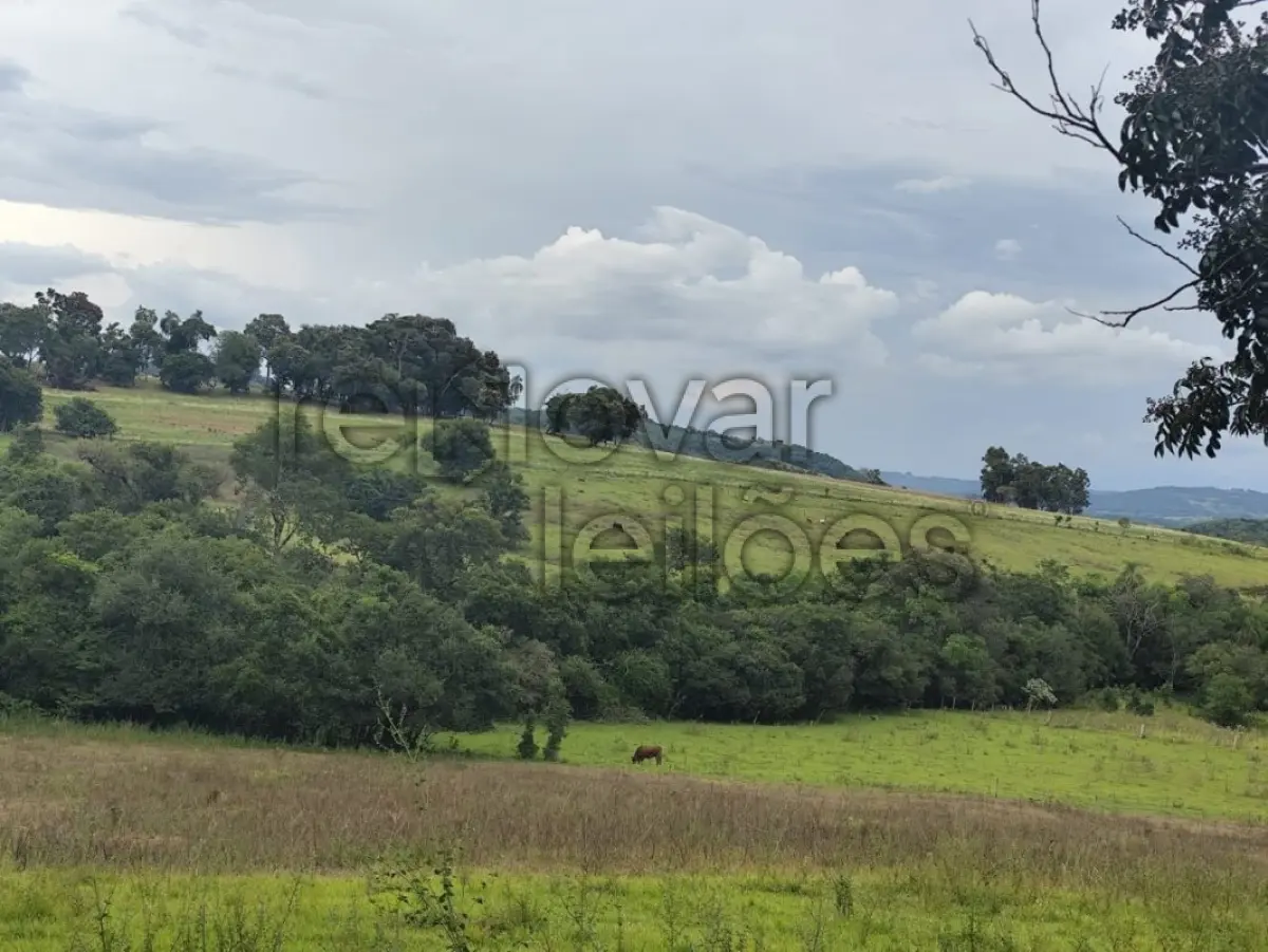 LOTE 001 - ÁREA RURAL C / 2 HEC + ÁREA RURAL C / 3,5 HEC - SÃO PEDRO DO SUL / RS