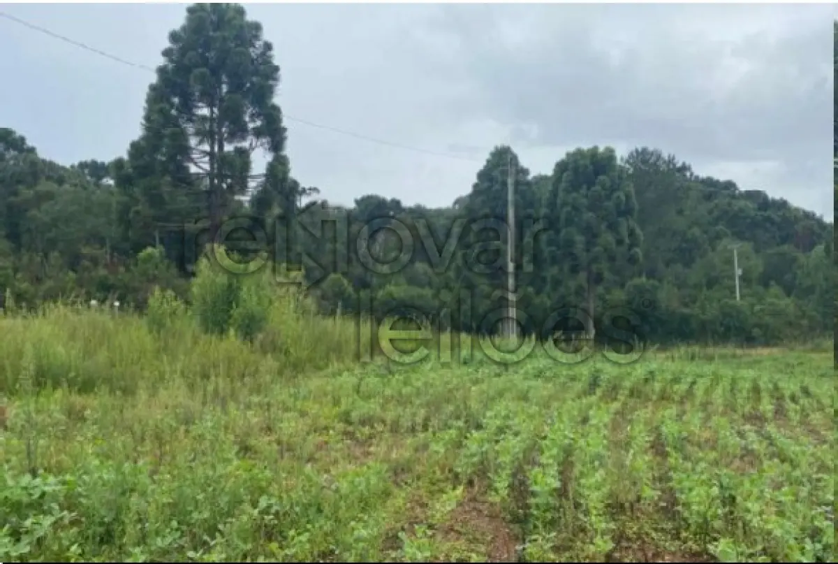 LOTE 011 - ÁREA RURAL C / 52,5939 HEC - VACARIA / RS