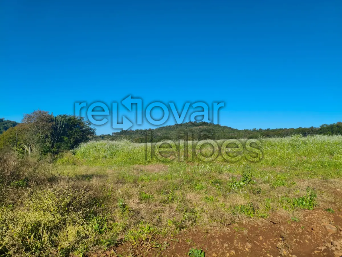 LOTE 001 - ÁREA RURAL C/ 75.000 M² - PORTO LUCENA / RS