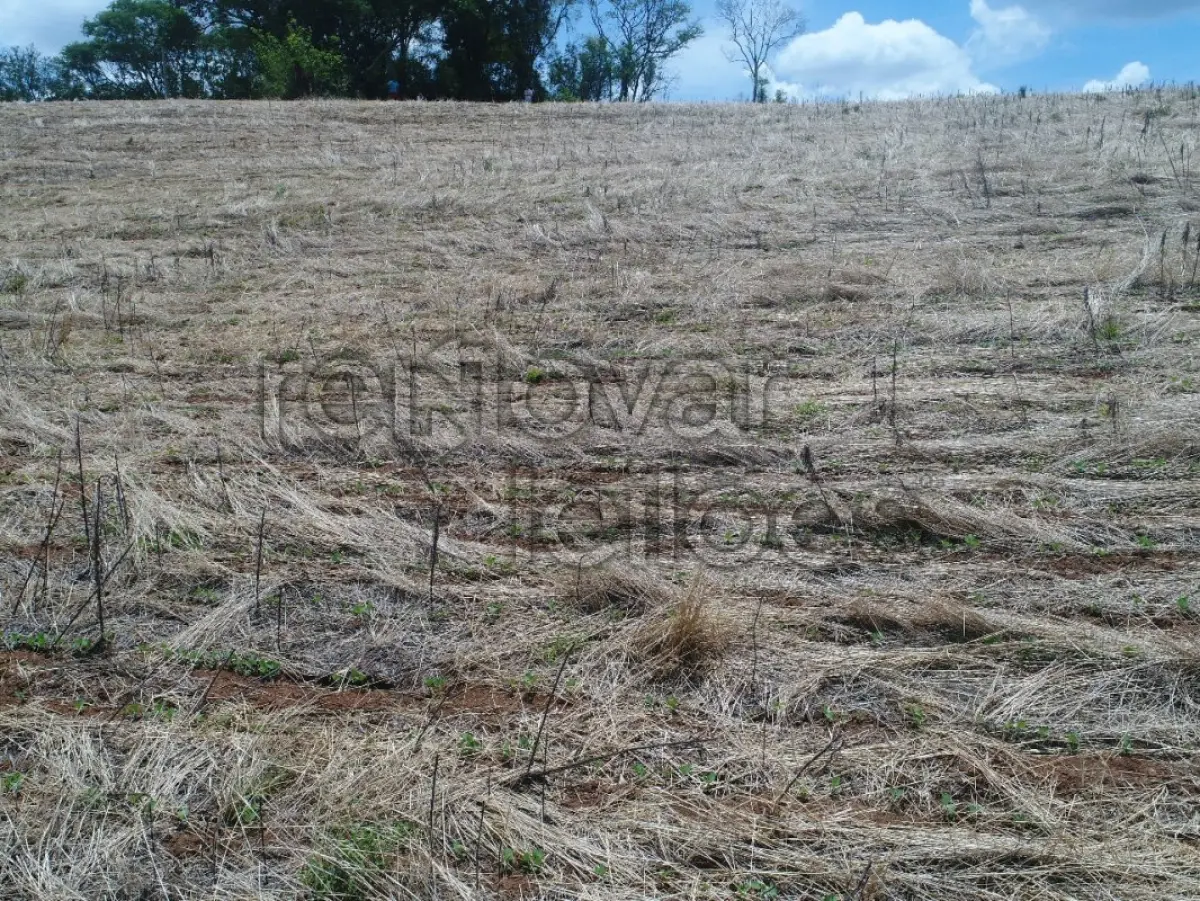 LOTE 015 - ÁREA RURAL C / 6,6 HEC - TIRADENTES DO SUL / RS
