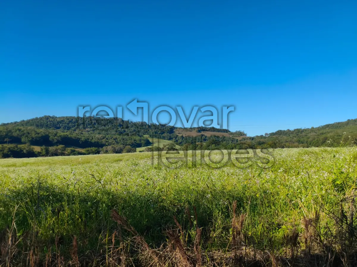 LOTE 001 - ÁREA RURAL C/ 75.000 M² - PORTO LUCENA / RS