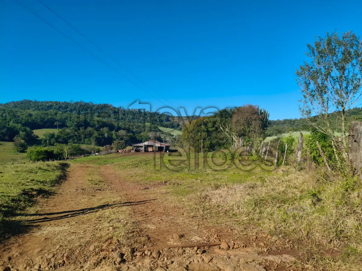 LOTE 001 - ÁREA RURAL C/ 75.000 M² - PORTO LUCENA / RS