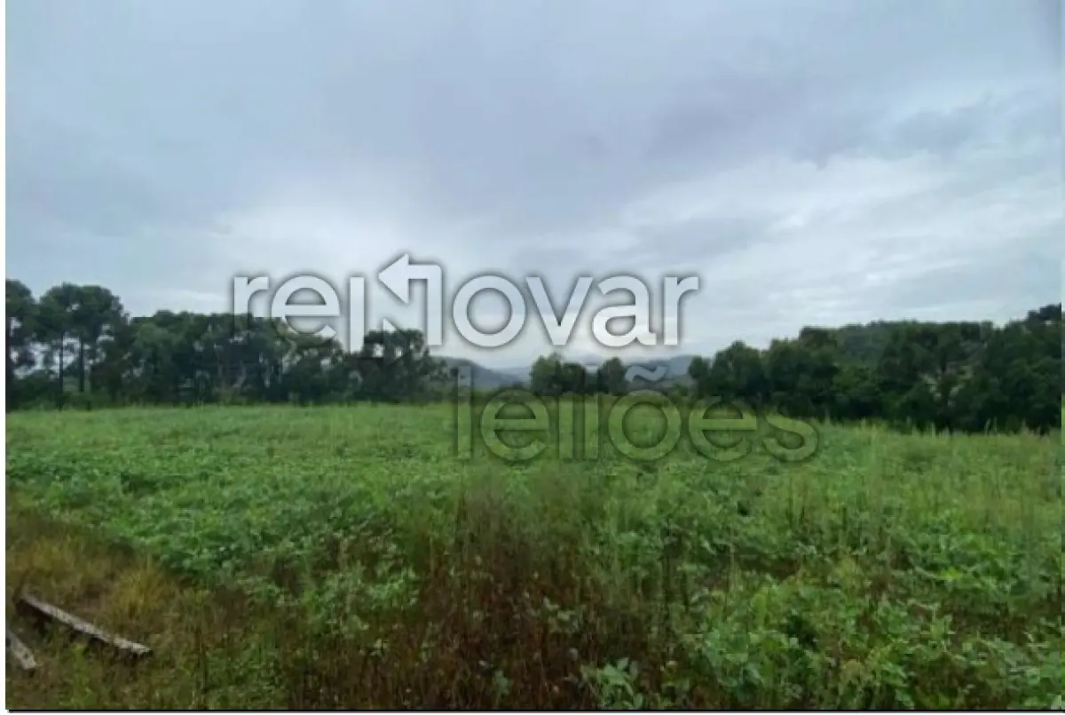 LOTE 011 - ÁREA RURAL C / 52,5939 HEC - VACARIA / RS