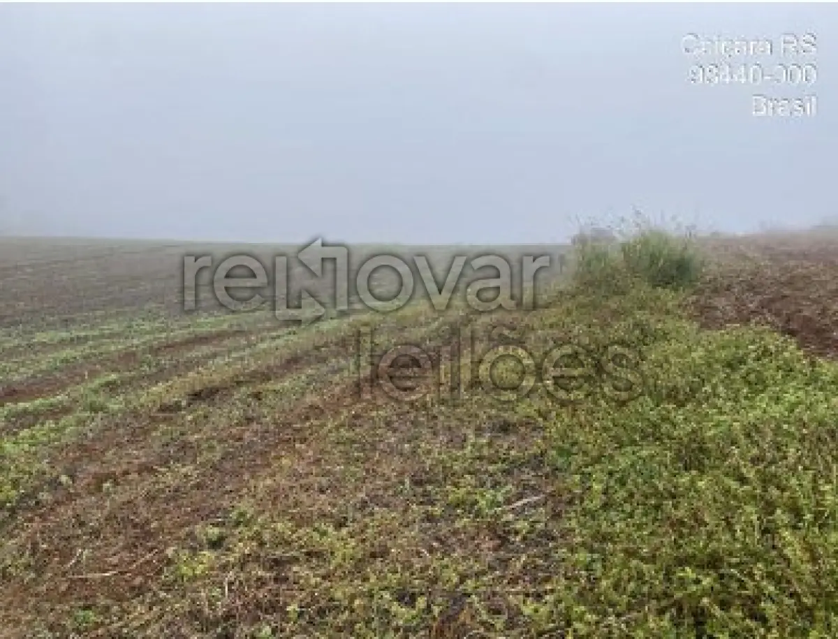 LOTE 001 - ÁREA RURAL C/ 56.000 M² - CAIÇARA / RS