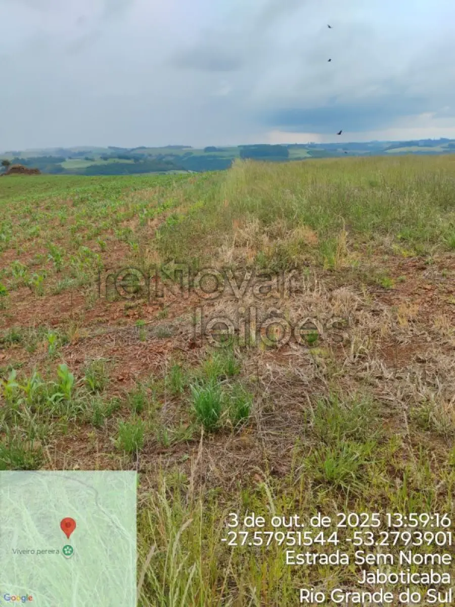 LOTE 010 - ÁREA RURAL C / 7,64 HEC - JABOTICABA / RS