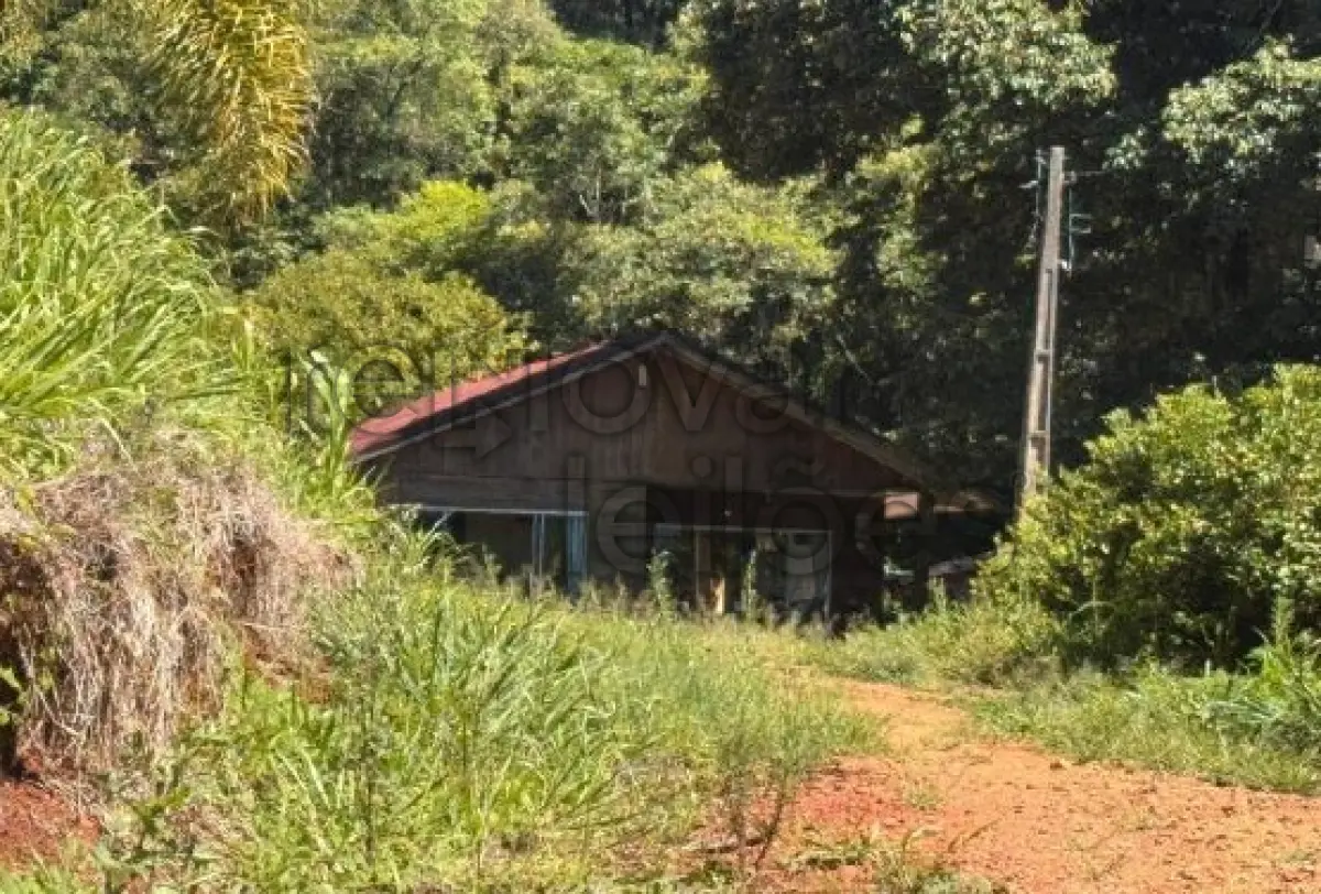 LOTE 004 - ÁREA RURAL C/ 3 HEC - IPIRA / SC