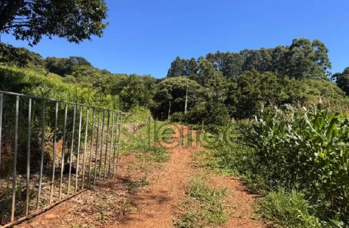 LOTE 004 - ÁREA RURAL C/ 3 HEC - IPIRA / SC