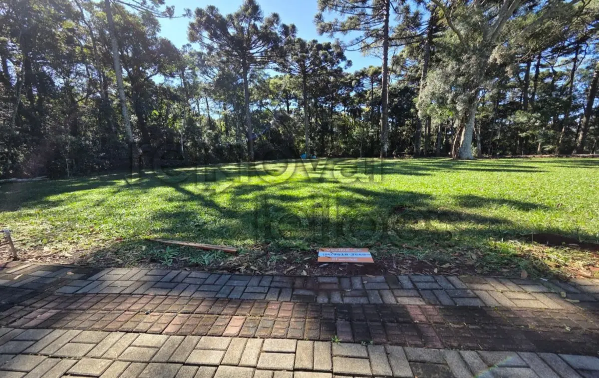 LOTE 006 - TERRENO URBANO C / 1.152,80 M² - GUATAMBU - SC
