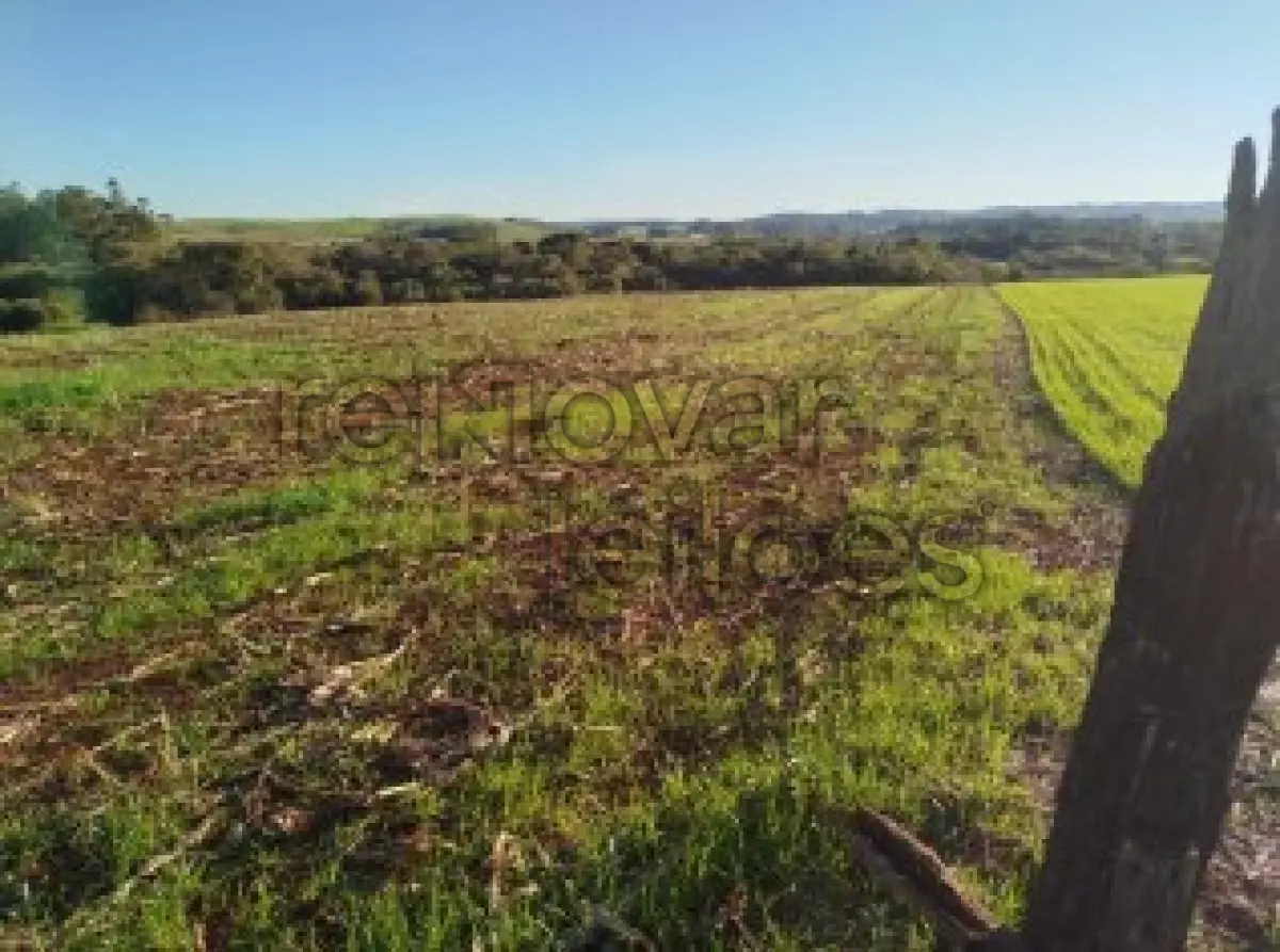 LOTE 001 - ÁREA RURAL C/ 12.480,20 M² - SÃO PAULO DAS MISSÕES / RS
