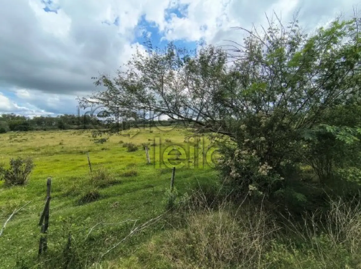 LOTE 001 - ÁREA RURAL C/ 12 HEC - RIO GRANDE / RS