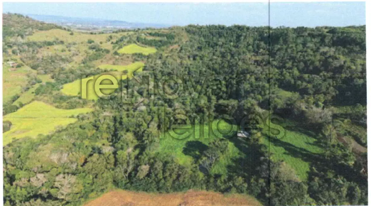 LOTE 001 - ÁREA RURAL C / 12,5 HEC - PORTO LUCENA / RS