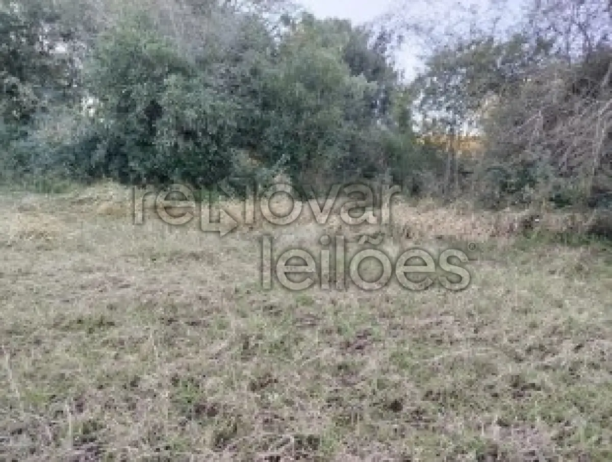 LOTE 001 - ÁREA RURAL C/ 12.480,20 M² - SÃO PAULO DAS MISSÕES / RS