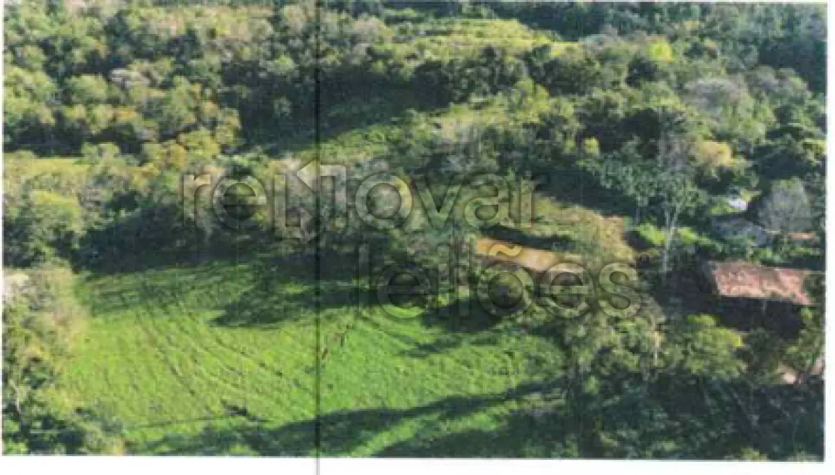 LOTE 001 - ÁREA RURAL C / 12,5 HEC - PORTO LUCENA / RS