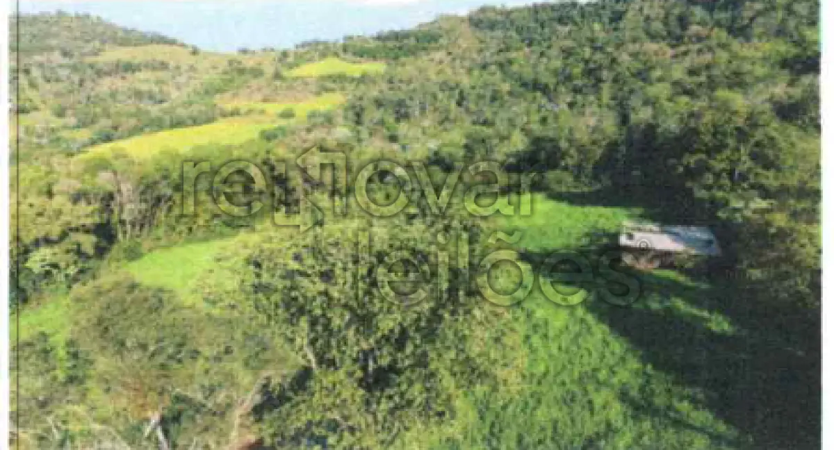 LOTE 001 - ÁREA RURAL C / 12,5 HEC - PORTO LUCENA / RS