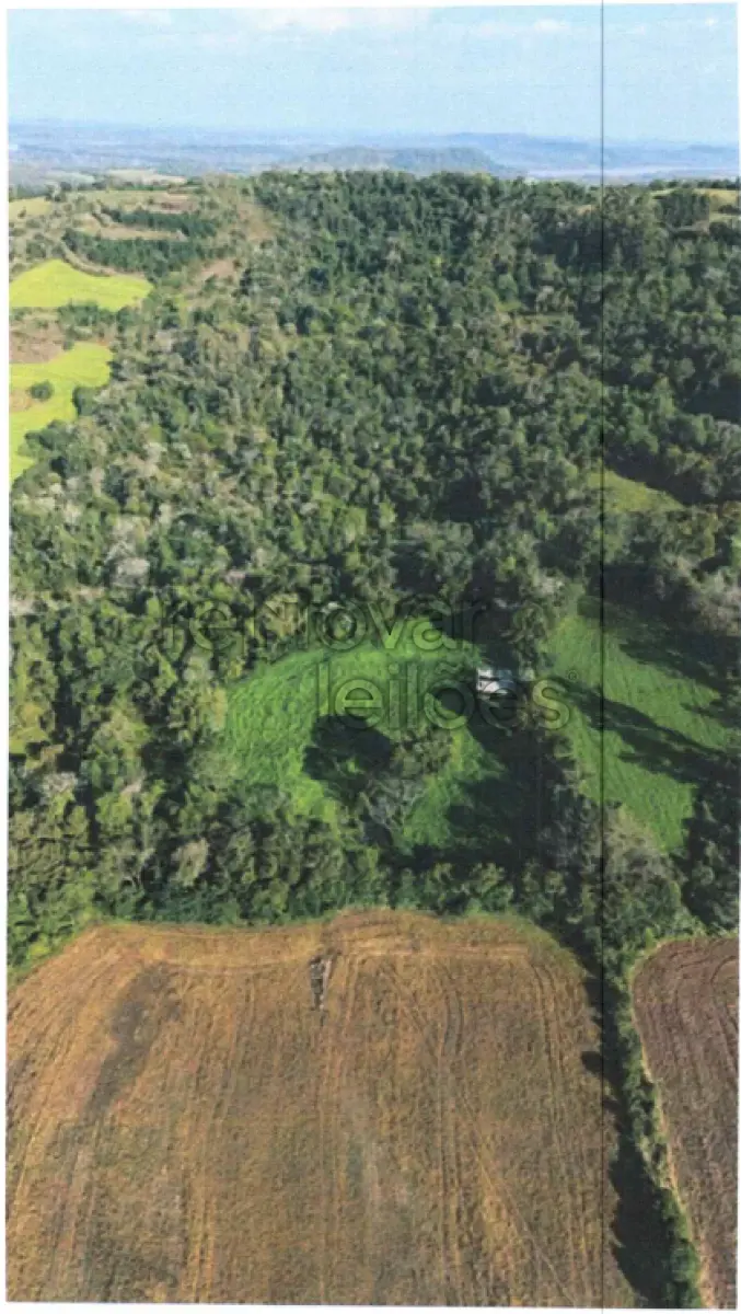 LOTE 001 - ÁREA RURAL C / 12,5 HEC - PORTO LUCENA / RS
