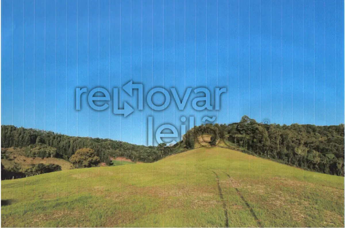 LOTE 000 - ÁREA RURAL C / 12,71 HEC - SERAFINA CORRÊA / RS