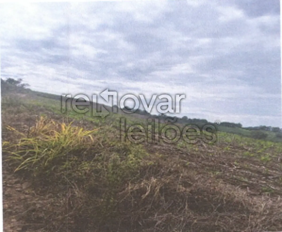 LOTE 007 - ÁREA RURAL C/ 7,9626 HA - SANTA ROSA / RS