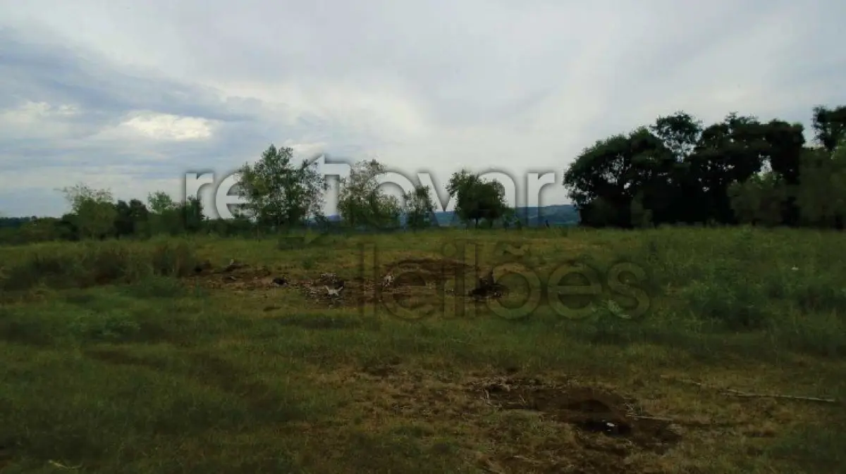 LOTE 001 - ÁREA RURAL C/ 69.000,00 M² - ALECRIM / RS