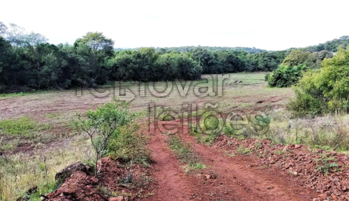 LOTE 012 - ÁREA RURAL C/ 10 HA - DEZESSEIS DE NOVEMBRO / RS