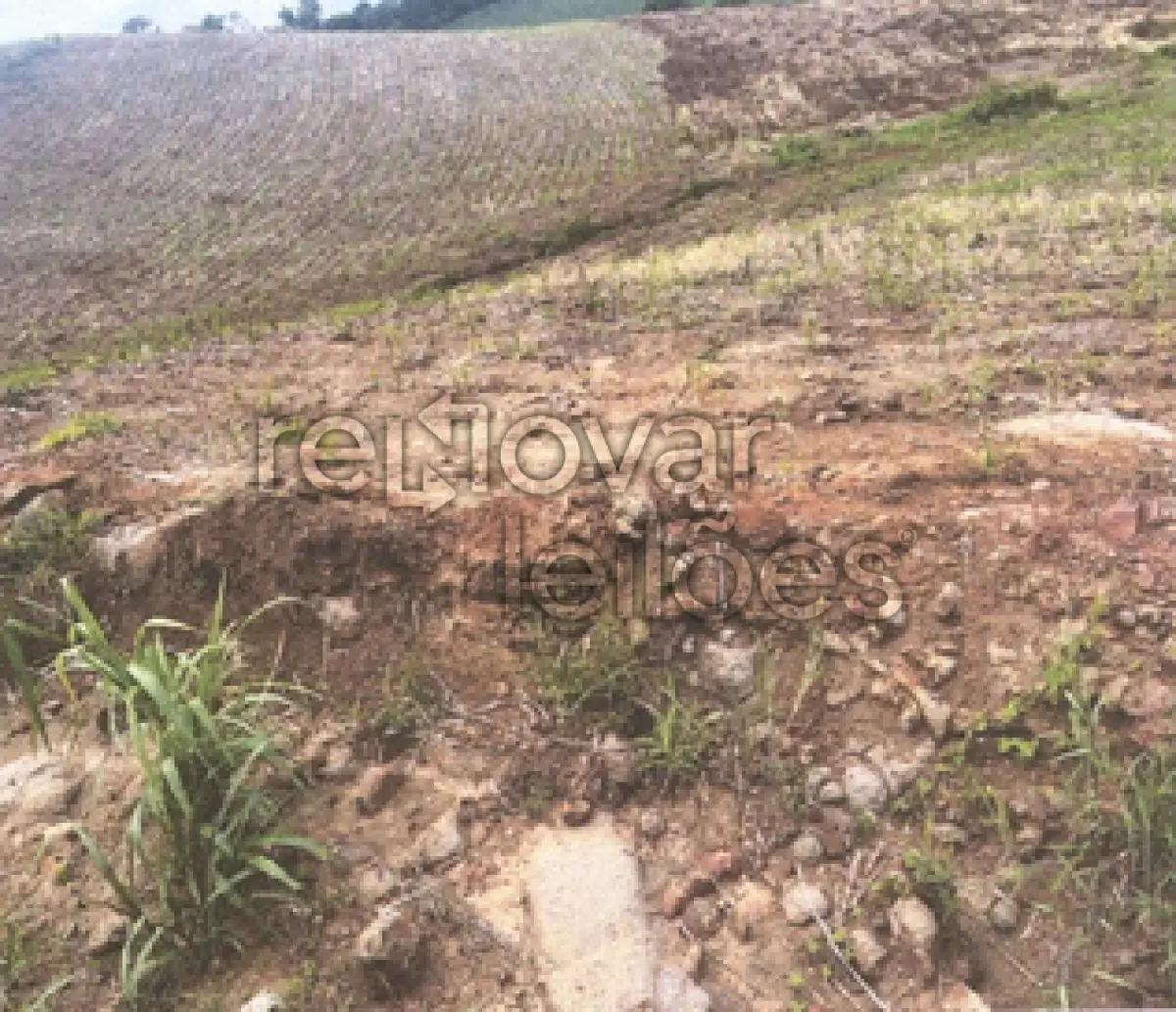 LOTE 007 - ÁREA RURAL C/ 7,9626 HA - SANTA ROSA / RS