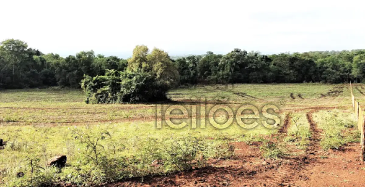 LOTE 012 - ÁREA RURAL C/ 10 HA - DEZESSEIS DE NOVEMBRO / RS