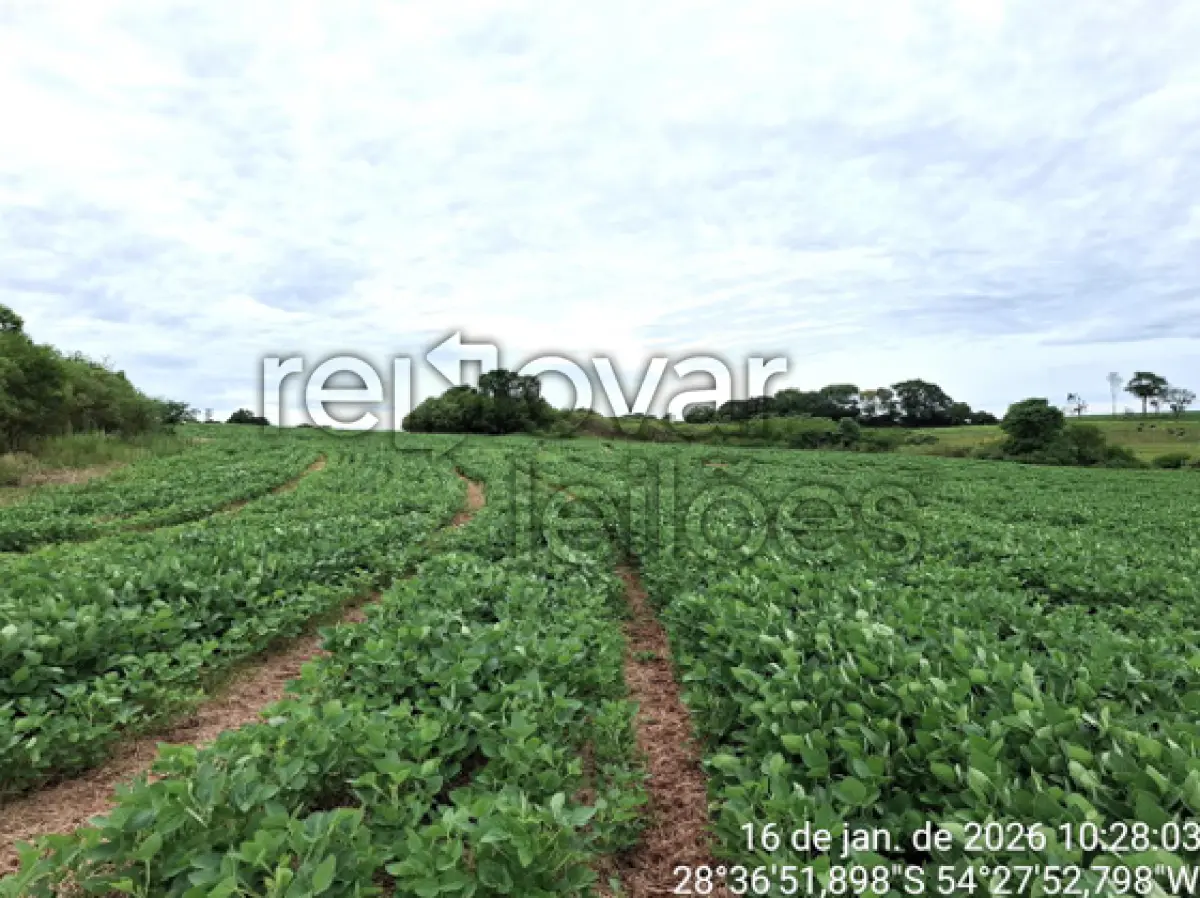 LOTE 001 - ÁREA RURAL C/ 13,70 HA - SÃO MIGUEL DAS MISSÕES / RS