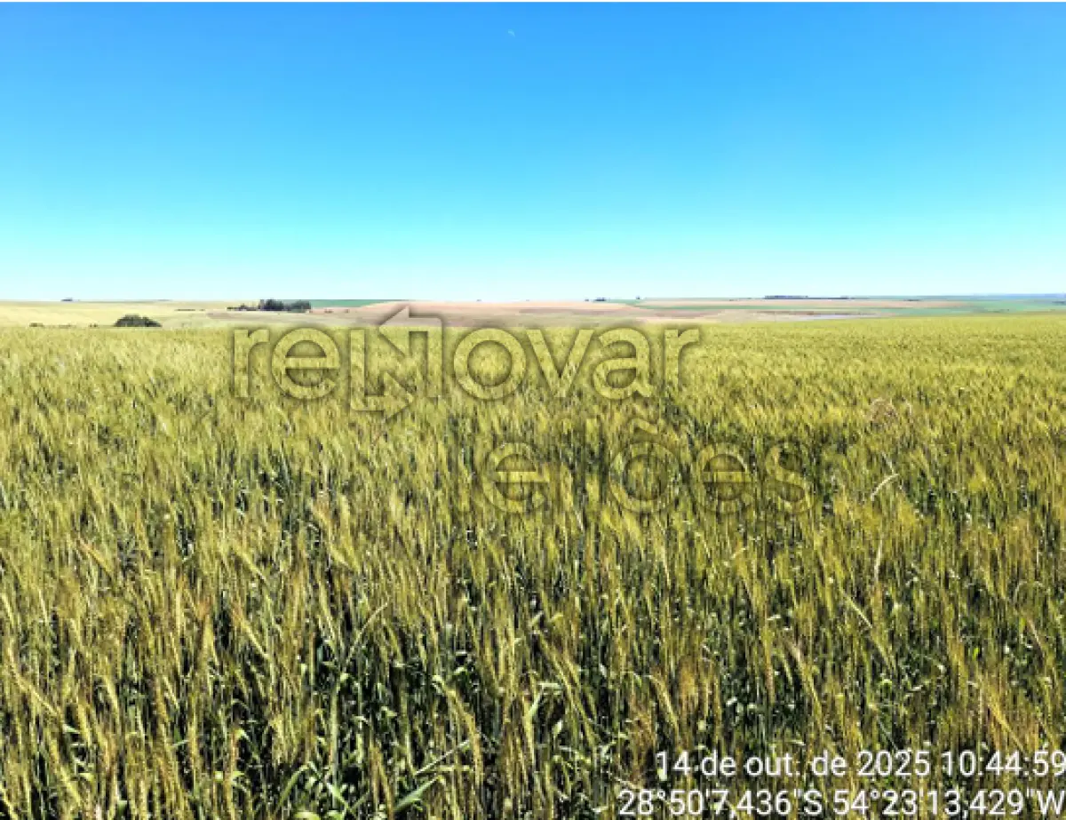 LOTE 013 - ÁREA RURAL DE 8,831250 HA - SÃO MIGUEL DAS MISSÕES / RS