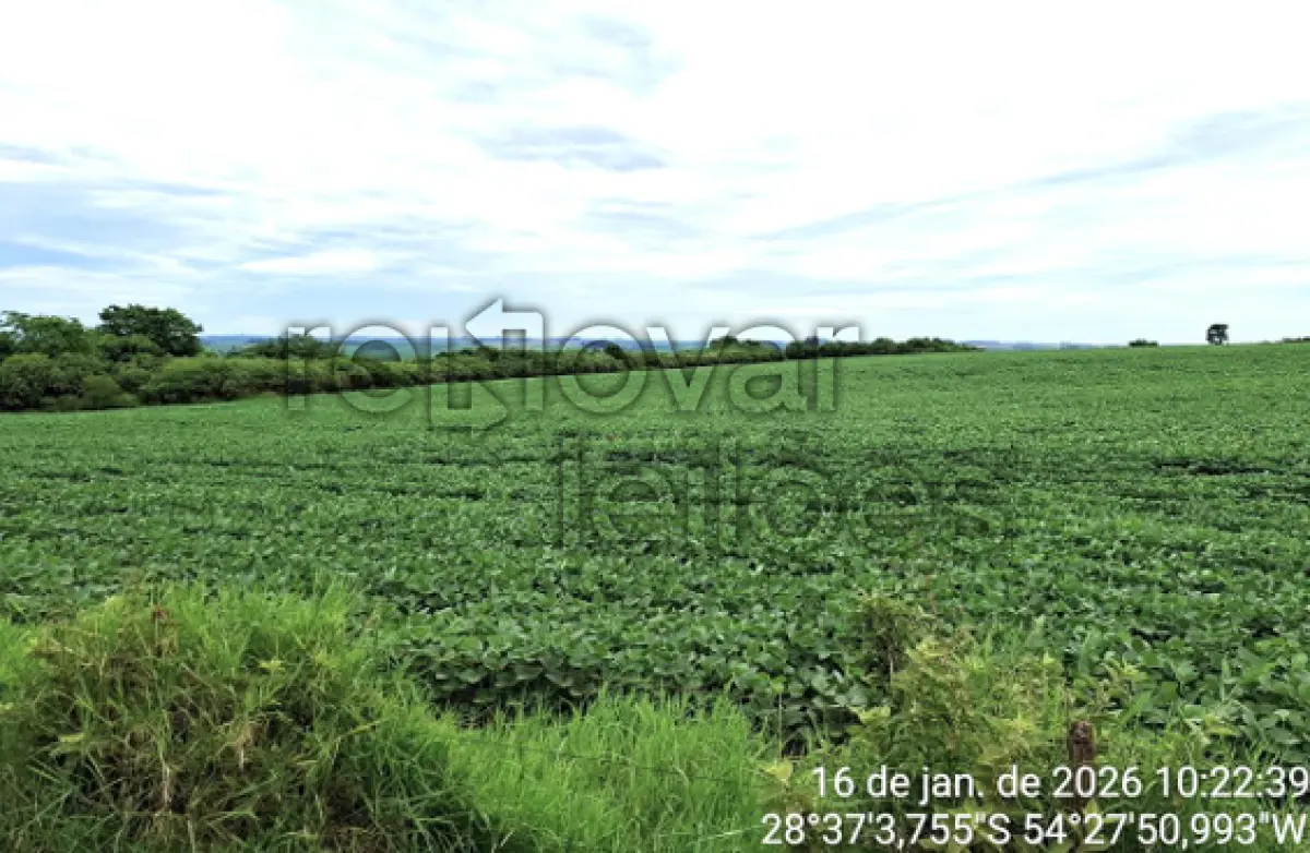 LOTE 001 - ÁREA RURAL C/ 13,70 HA - SÃO MIGUEL DAS MISSÕES / RS