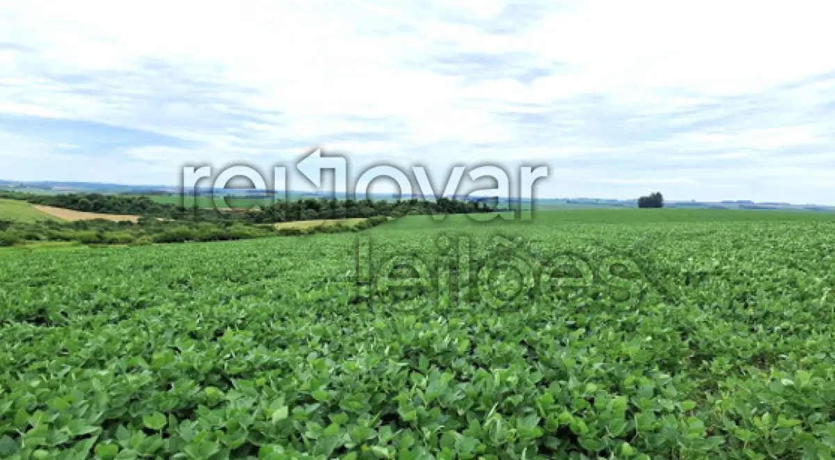 LOTE 001 - ÁREA RURAL C/ 13,70 HA - SÃO MIGUEL DAS MISSÕES / RS
