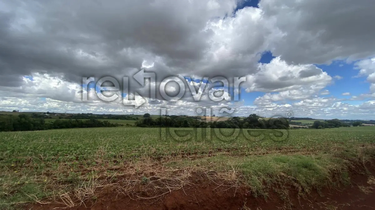 LOTE 016 - ÁREA RURAL C/ 3 HA - CATUÍPE / RS