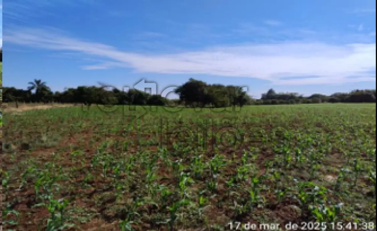 LOTE 011 - ÁREA RURAL C/ 3 HA - GARRUCHOS / RS