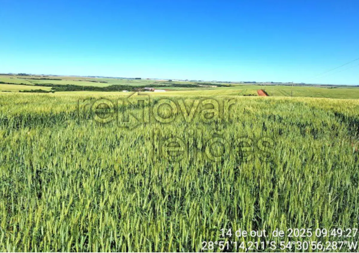 LOTE 015 - ÁREA DE TERRA C/ 6 HA - SÃO MIGUEL DAS MISSÕES / RS