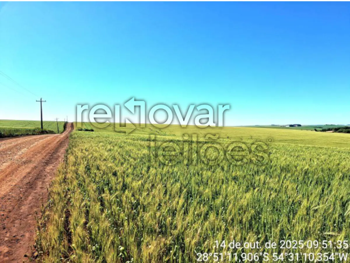 LOTE 015 - ÁREA DE TERRA C/ 6 HA - SÃO MIGUEL DAS MISSÕES / RS