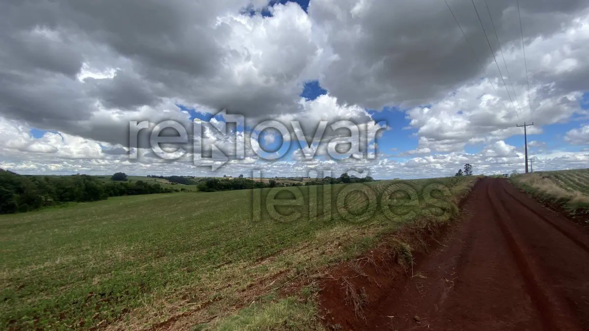 LOTE 016 - ÁREA RURAL C/ 3 HA - CATUÍPE / RS