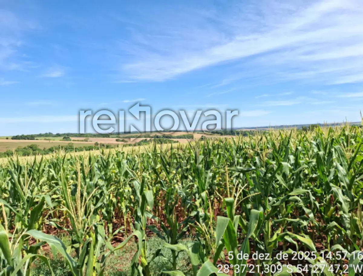 LOTE 017 - ÁREA RURAL 1,75 HA - SÃO MIGUEL DAS MISSÕES / RS