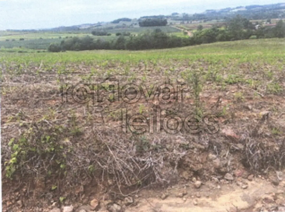LOTE 007 - ÁREA RURAL C/ 7,9626 HA - SANTA ROSA / RS