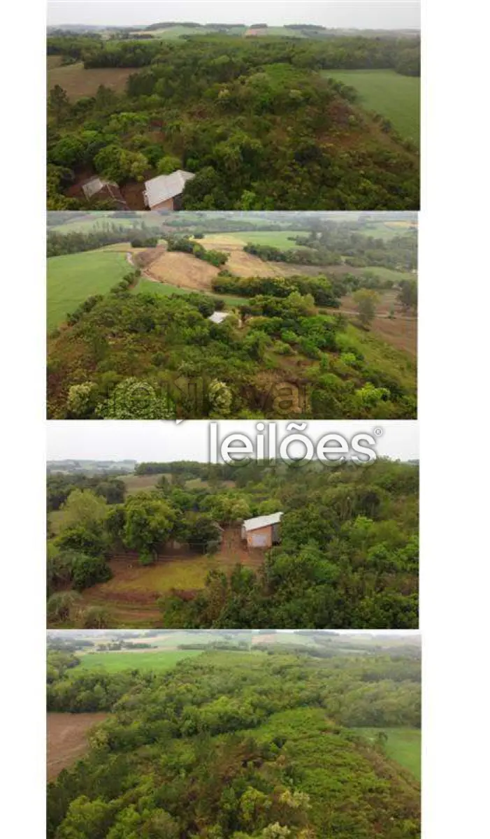 LOTE 010 - ÁREA RURAL C/ 3 HA - SANTA ROSA / RS