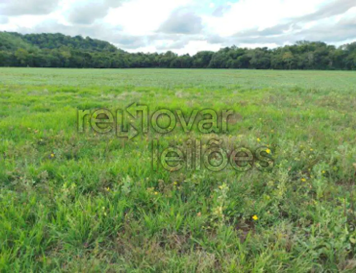 LOTE 002 - ÁREA RURAL C/ 1 HA - SÃO LUIZ GONZAGA / RS