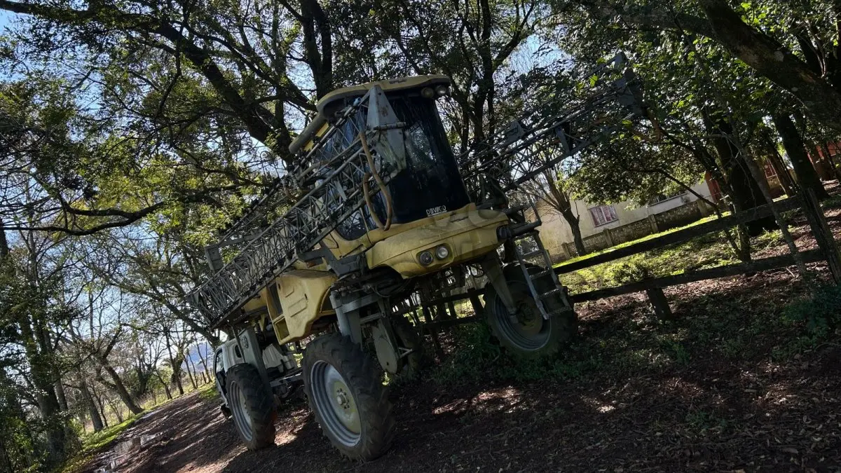 LOTE 043