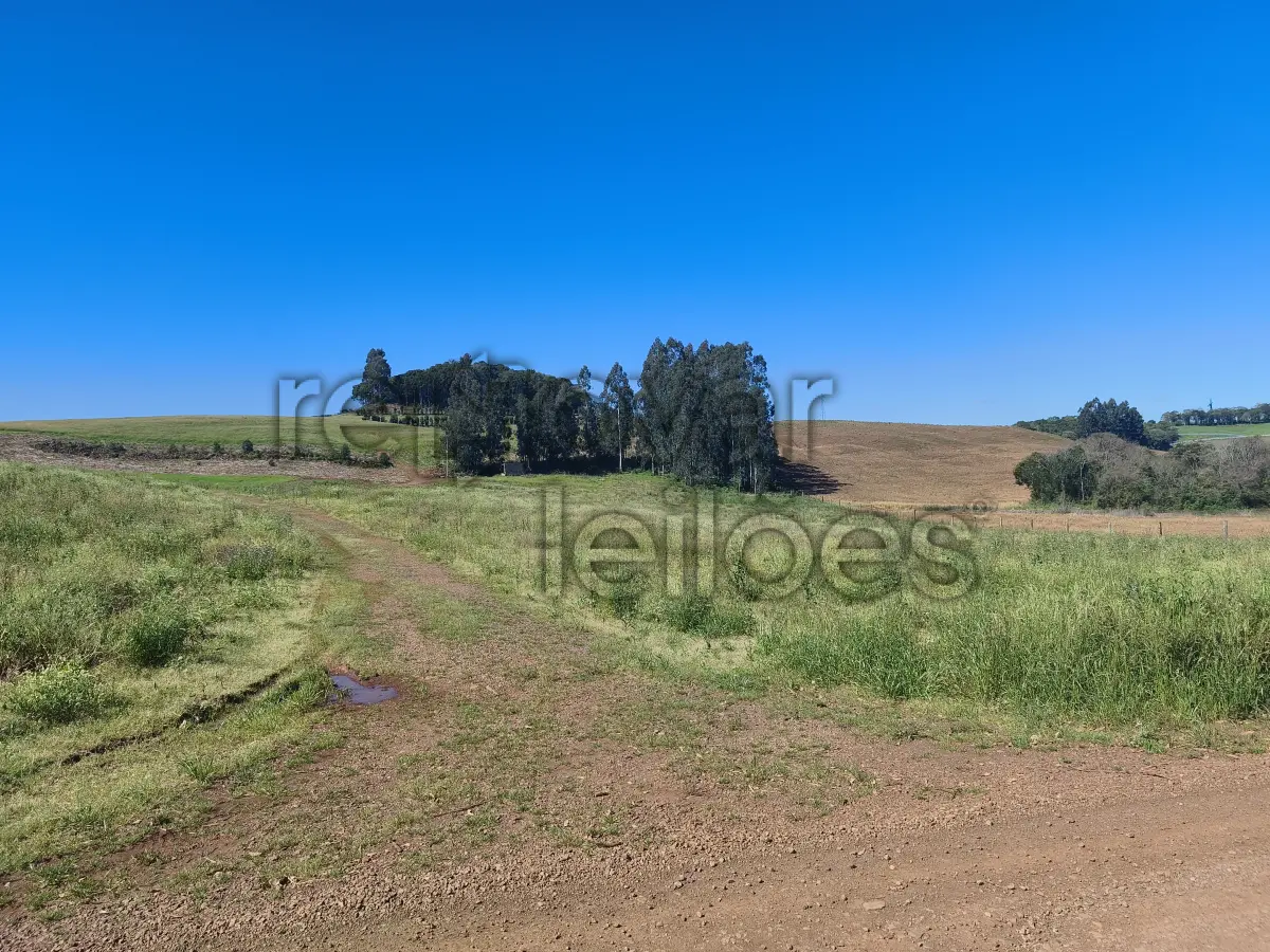 LOTE 001 - ÁREA RURAL C/ 18.653,15 M² - CASCA / RS