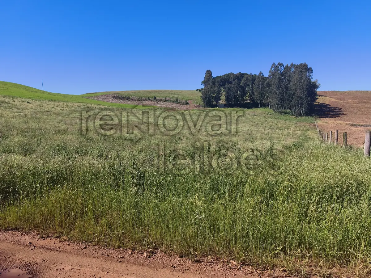 LOTE 001 - ÁREA RURAL C/ 18.653,15 M² - CASCA / RS