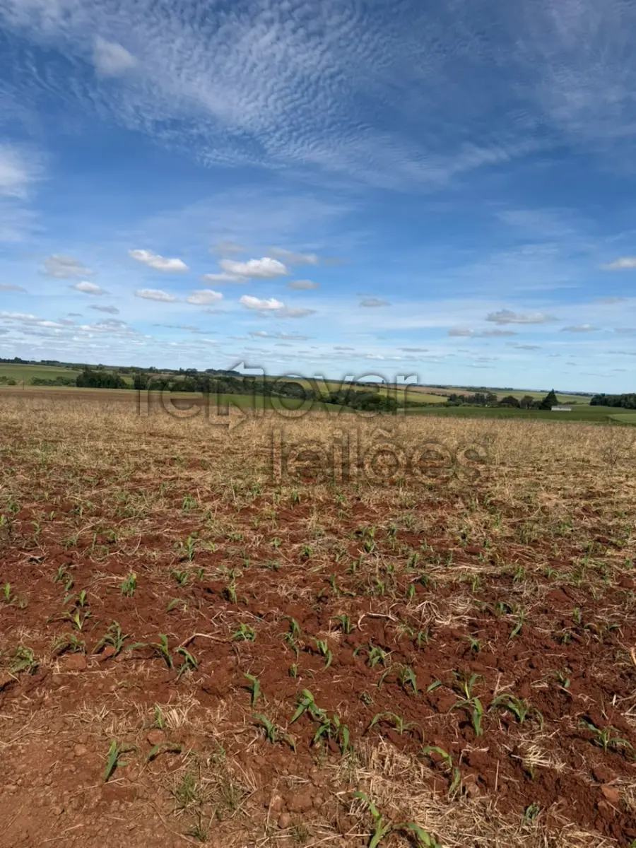 LOTE 001 - ÁREA RURAL C/ 3 HAC - SANTO ÂNGELO / RS