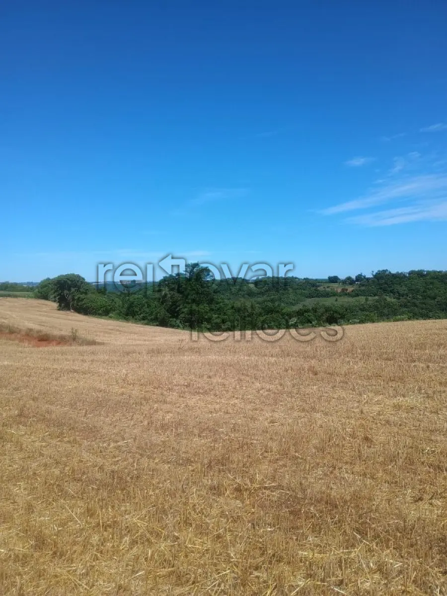 LOTE 016 - ÁREA RURAL C / 3,8 HA - BRAGA / RS