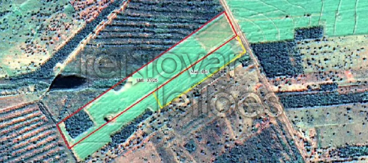 LOTE 001 - ÁREA RURAL C/ 33 HAC + CASA C/ 92 M² + ÁREA RURAL C/ 11,500 HAC - TERENOS / MS