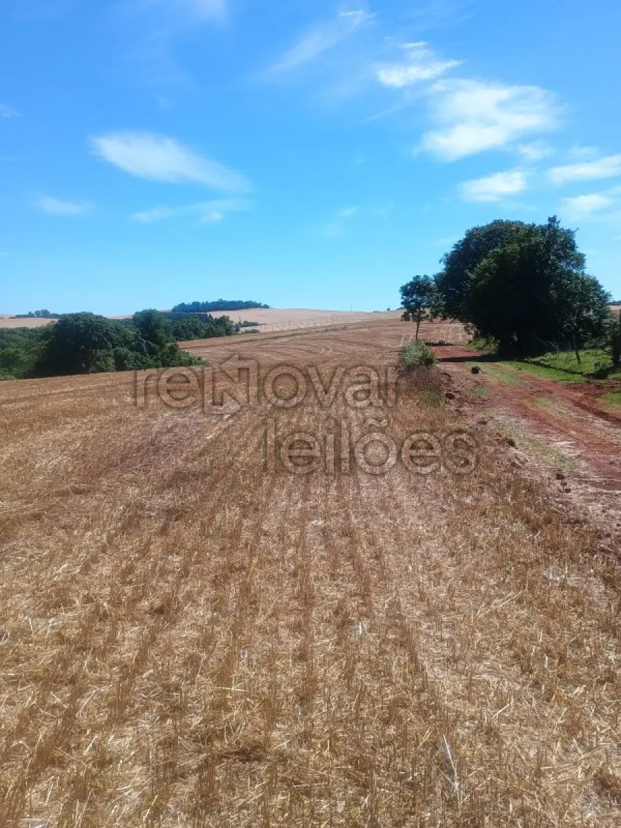 LOTE 016 - ÁREA RURAL C / 3,8 HA - BRAGA / RS