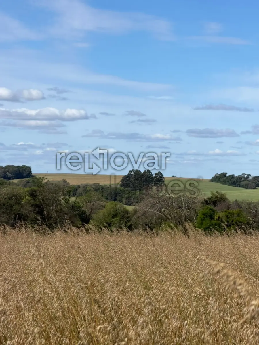 LOTE 001 - ÁREA RURAL C/ 3 HAC - SANTO ÂNGELO / RS