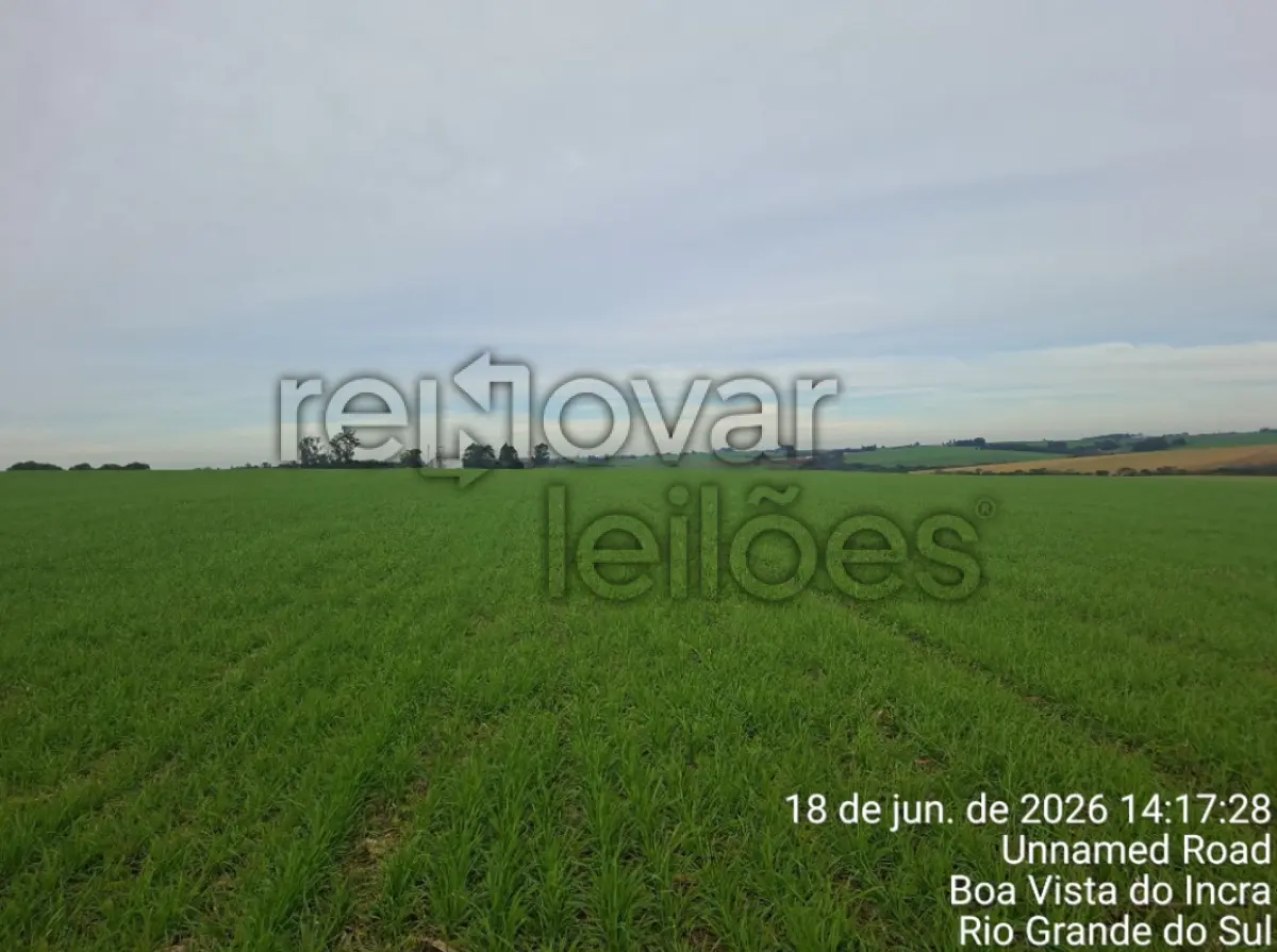LOTE 003 - ÁREA RURAL C/ 75.000,00 - CRUZ ALTA / RS